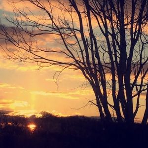 Meet your Posher, Paige